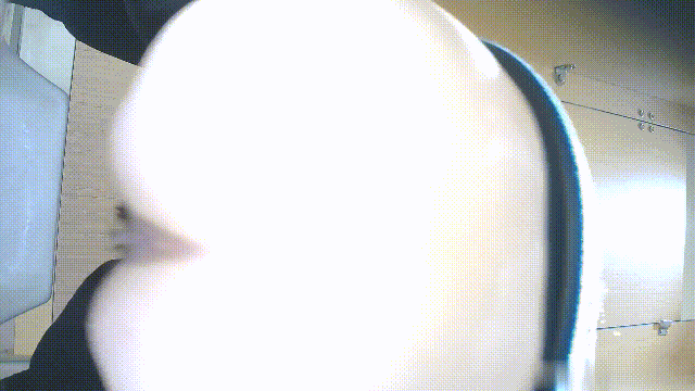 1aa