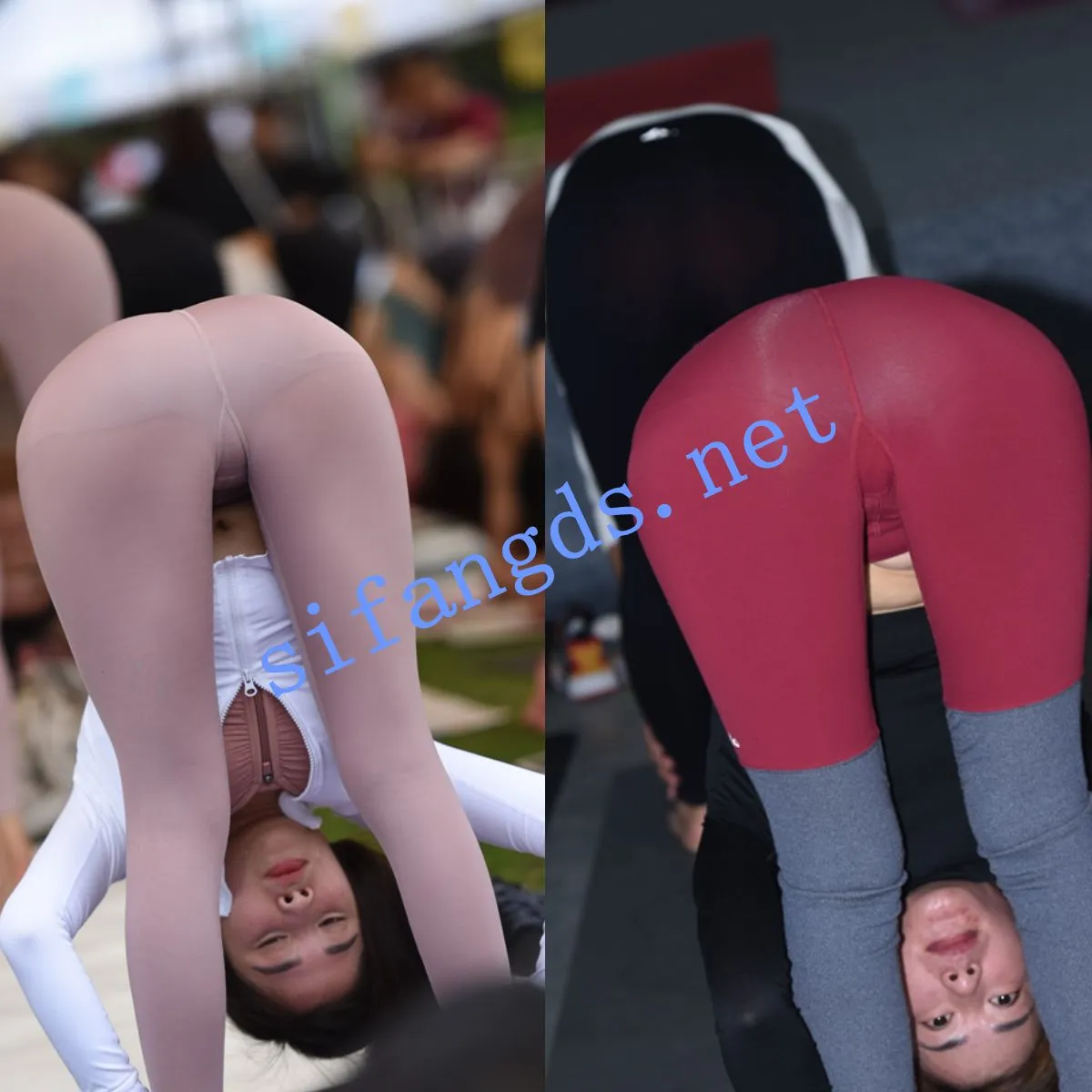 3b