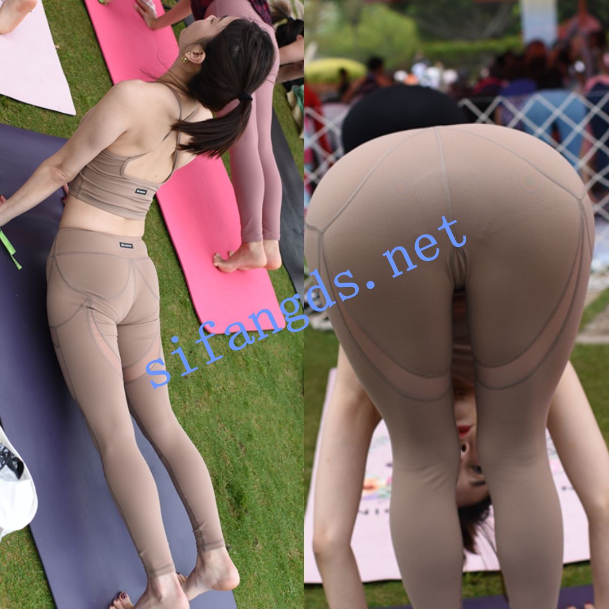 6dd