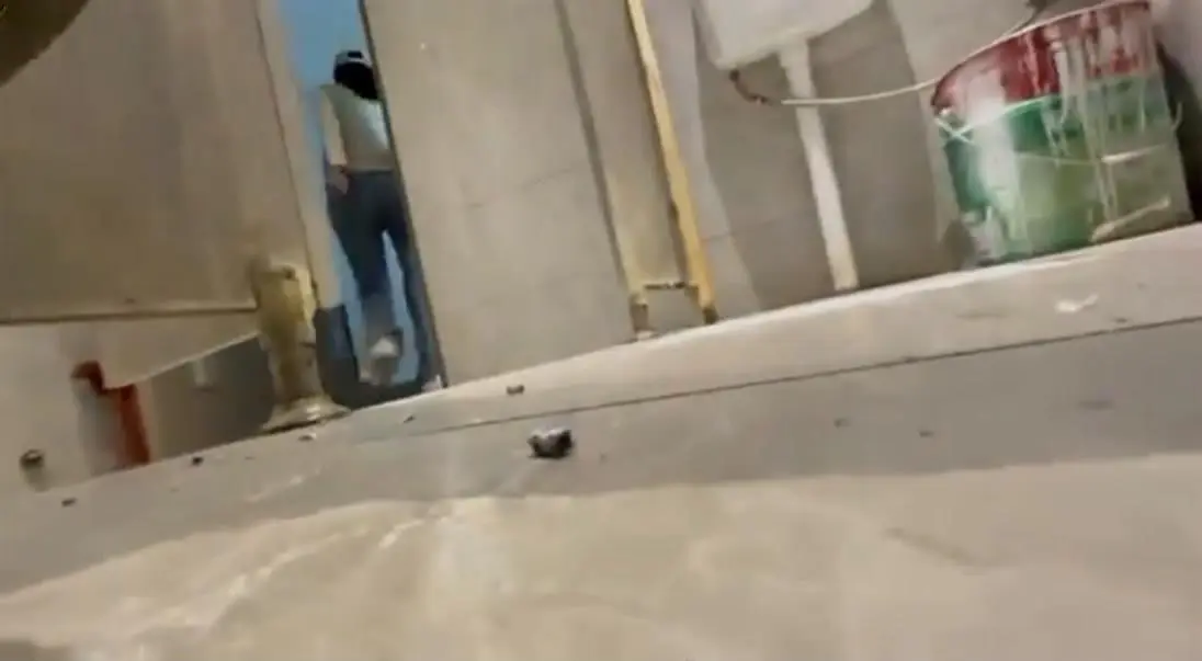 1gg