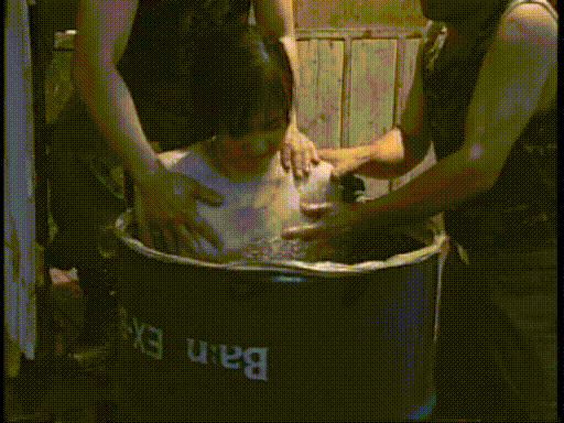 4ee