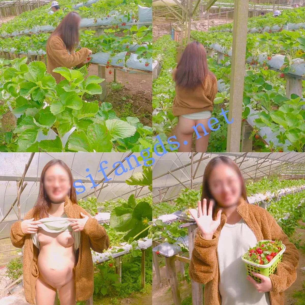 1bb