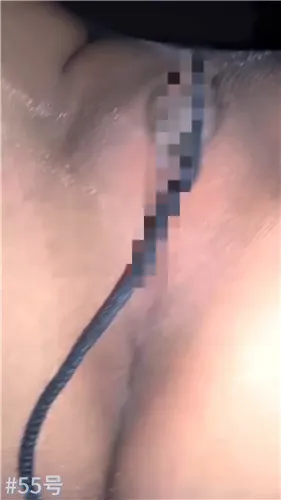 4dd